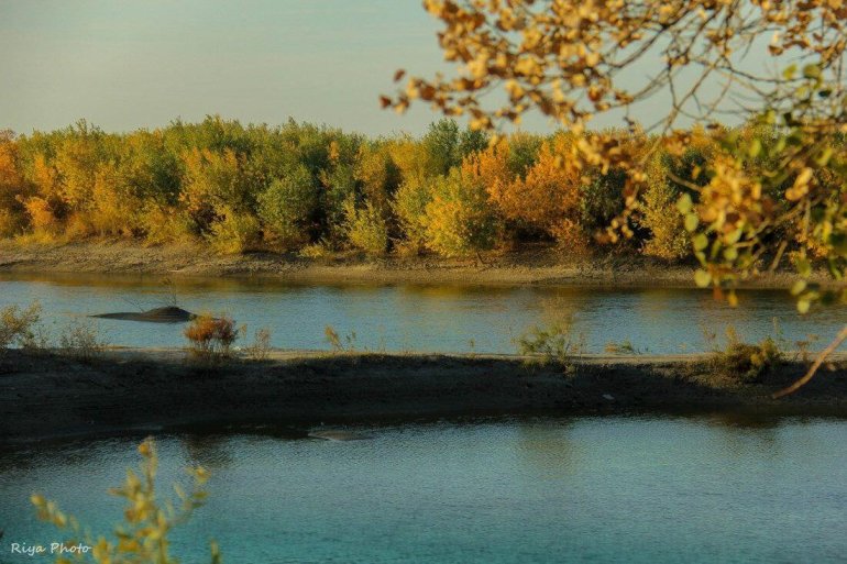 БАДАЙ ТОҒАЙ МӘМЛЕКЕТЛИК ҚОРЫҚХАНАСЫ